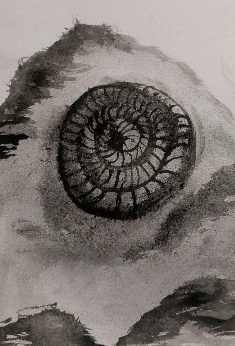 Artwork by Lacy Elizabeth Butler